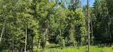 Lot 50 Deep Hollow Hill Road - Photo 16