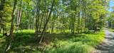 Lot 50 Deep Hollow Hill Road - Photo 9