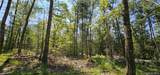 Lot 8.1 Eckes Road - Photo 4