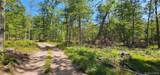 Lot 8.1 Eckes Road - Photo 10
