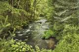 Lot 1 Woodstone Trail - Photo 8