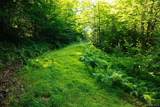 Lot 2 Woodstone Trail - Photo 4
