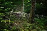 Lot 2 Woodstone Trail - Photo 6