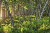Lot 2 Woodstone Trail - Photo 9