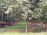  Dark Hollow Road - Photo 2