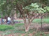 Dark Hollow Road - Photo 3