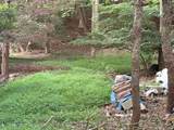  Dark Hollow Road - Photo 5