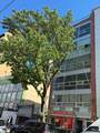 133-24 41st Road - Photo 2