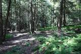 TBD George Segar Road - Photo 3