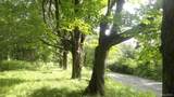  Henry Road - Photo 8