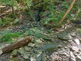 331 Mountain Lodge Road - Photo 16