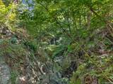 331 Mountain Lodge Road - Photo 4