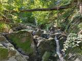 331 Mountain Lodge Road - Photo 5