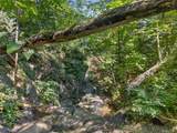 331 Mountain Lodge Road - Photo 9