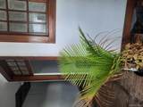 129 Canal Street - Photo 29