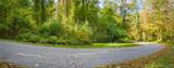 Lot 21 Cox Road - Photo 4