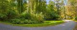 Lot 21 Cox Road - Photo 6
