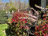 126 Overhill Road - Photo 20