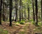  Split Rock Drive - Photo 4