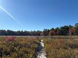 Lot 4 Deer Meadow Road - Photo 3