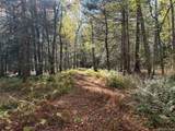 Lot 4 Deer Meadow Road - Photo 8