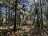 Lot 4 Deer Meadow Road - Photo 9