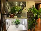 138-29 68th Drive - Photo 8