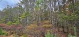 Lot 28 Summit Drive - Photo 12