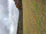  Pleasant Ridge Road - Photo 4