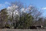 Tbd Manorville Road - Photo 11