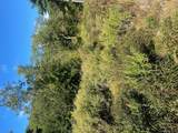Tbd Manorville Road - Photo 4
