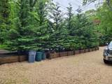 31 Apricot Road - Photo 5