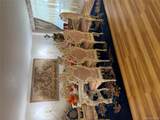 61-15 98th Street - Photo 18