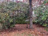 Lot 16 Fox Hunt Lane - Photo 1