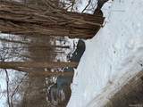  Gallows Hill Road - Photo 3