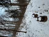  Gallows Hill Road - Photo 6