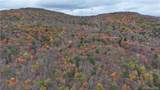  Huntley Hollow Road - Photo 12