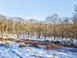 TBD Hicks Hill Road - Photo 8
