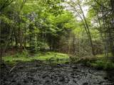 Lot 4 Chapin Trail - Photo 2