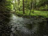 Lot 4 Chapin Trail - Photo 6