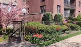 15 Hill Park Avenue - Photo 3