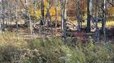 Chaffee Road - Photo 6