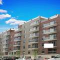 6538 Austin Street - Photo 10