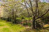 271 High Road - Photo 44