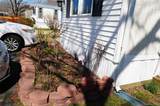 703-106 Fresh Pond Avenue - Photo 10