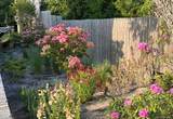 106 Oak Beach Road - Photo 32