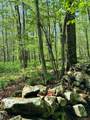 30 Narrow Road - Photo 30