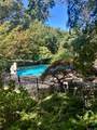 39 Cherry Lane - Photo 39