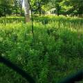 167 Old Turnpike Road - Photo 16
