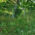 167 Old Turnpike Road - Photo 17